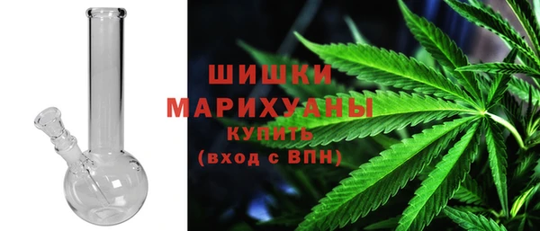 дурь Белокуриха