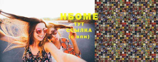 сатива Беломорск