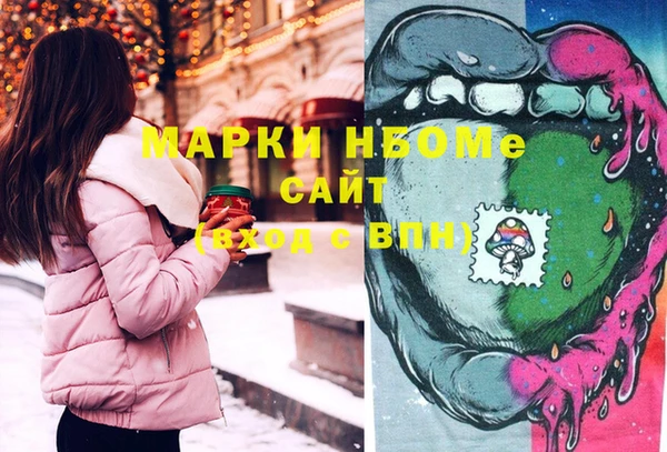 сатива Беломорск