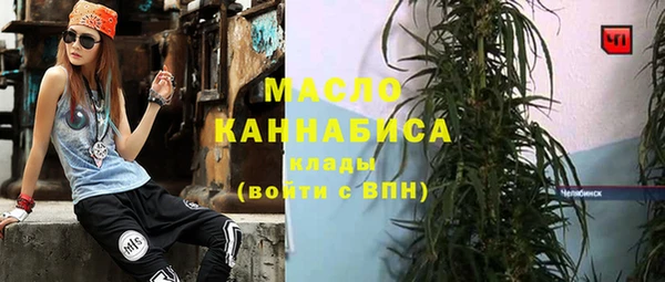сатива Беломорск