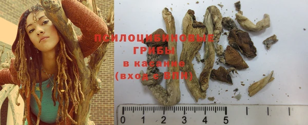 дурь Белокуриха