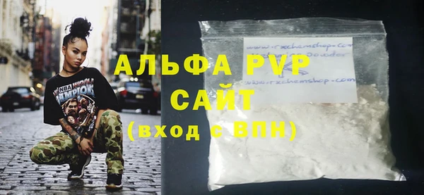 сатива Беломорск