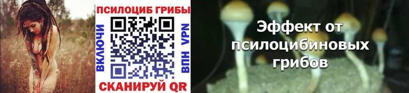 Галлюциногенные грибы MAGIC MUSHROOMS Рудня